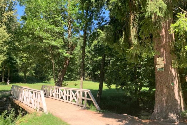 Terčino údolí u Nových Hradů  | foto: Pavla Kuchtová,  Český rozhlas,  Český rozhlas