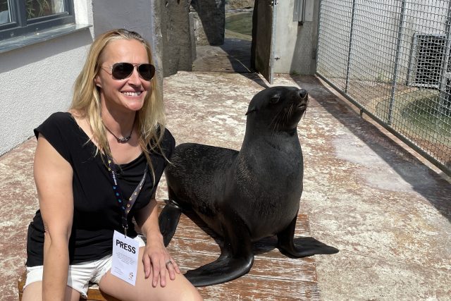 Moderátorka Lucie Výborná mezi lachtany v pražské zoo | foto: Miloslav Hamřík,  Český rozhlas