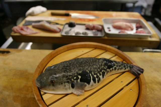 Příprava ryby fugu | foto: Fotobanka Profimedia