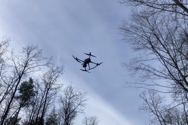 Dron musí vystoupat nad koruny stromů,  aby mohl začít skenovat les | foto: Michal Šafařík,  Český rozhlas