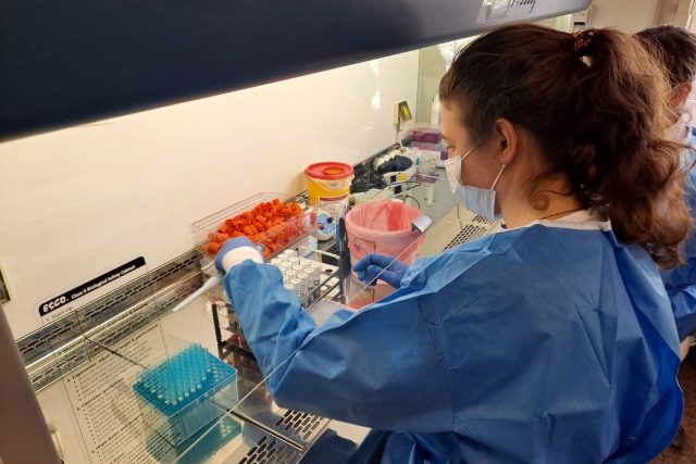 Laboranti umí určit všechny známé varianty viru SARS-CoV-2 | foto: Eva Malá,  Český rozhlas,  Český rozhlas