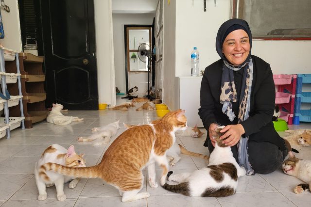 Paní Ímán bere péči o opuštěné kočky jako své poslání | foto: Štěpán Macháček,  Český rozhlas