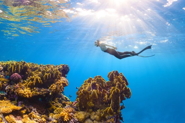 Korálové útesy trpí zvyšující se teplotou moří | foto: NEOM,  Saudi Arabia,  Unsplash,  Licence Unsplash