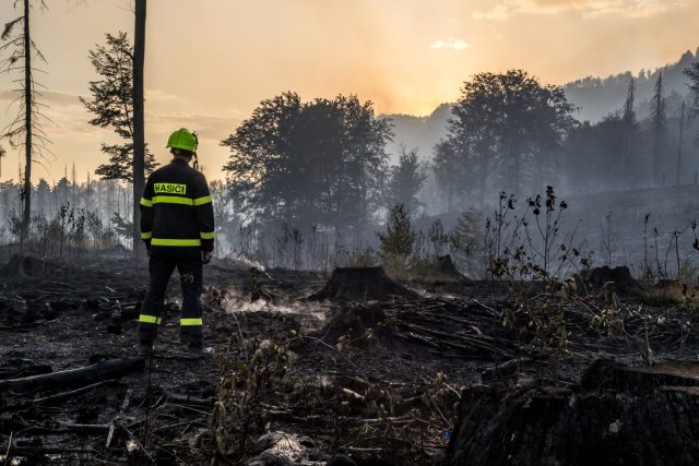 Požár lesa v Národním parku České Švýcarsko,  Mezní Louka nedaleko Hřenska | foto: Vojtěch Hájek,  ČTK