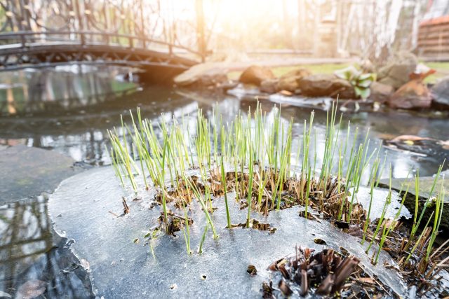 Ilustrační foto | foto: Shutterstock