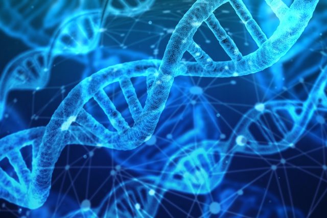 Mezi významné preventivní metody patří i diagnostika predispozice k leukémii na základě analýzy DNA | foto: Gerd Altmann,  Pixabay,  CC0 1.0