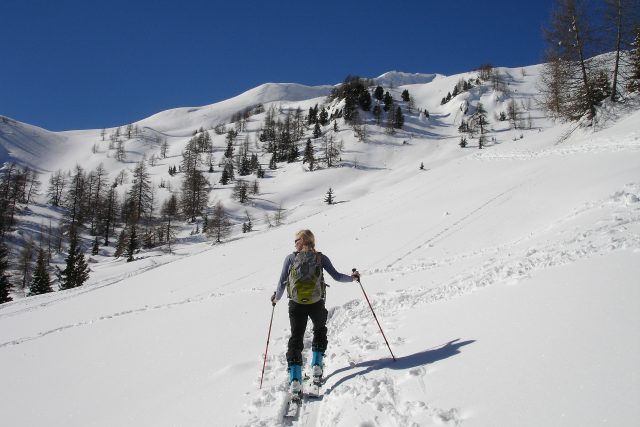 Skitouring je návrat ke kořenům lyžování | foto: Fotobanka Pixabay