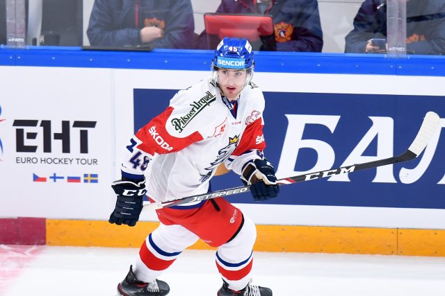 Hokejista Lukáš Sedlák v reprezentačním dresu | foto: Michal Beránek,  CNC / Profimedia