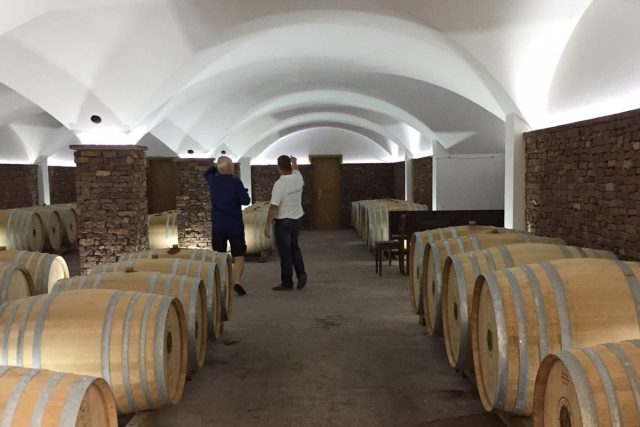 Vinařství Figula - vinný sklep s červeným vínem. | foto: Zuzana Papucseková