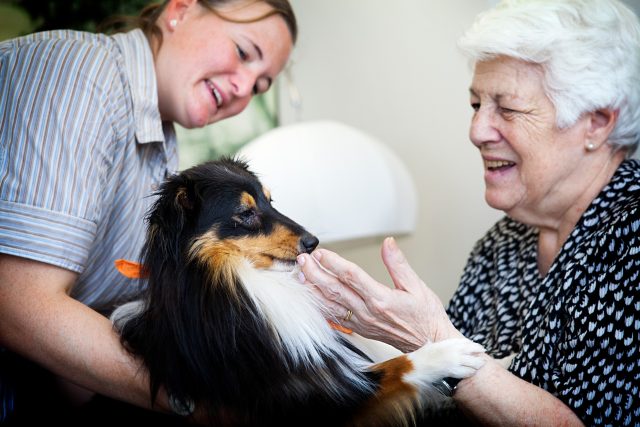 Canisterapie pomáhá v domovech pro seniory  (ilustrační foto) | foto: Profimedia