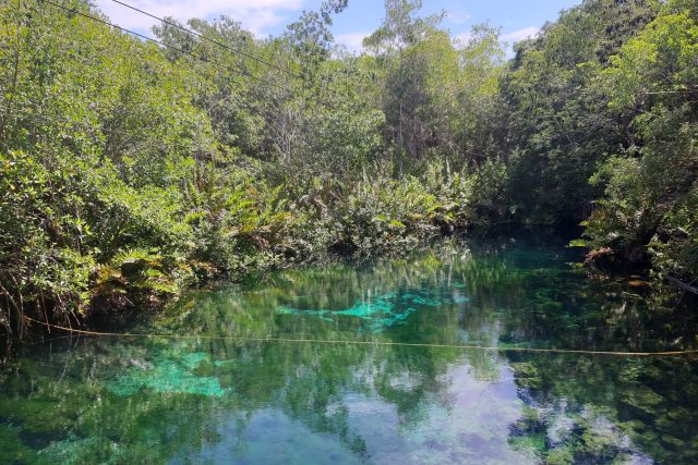 Cenote Xoonan-Ha na mexickém poloostrově Yucatán | foto: Marie Jakšičová,  Český rozhlas,  Český rozhlas
