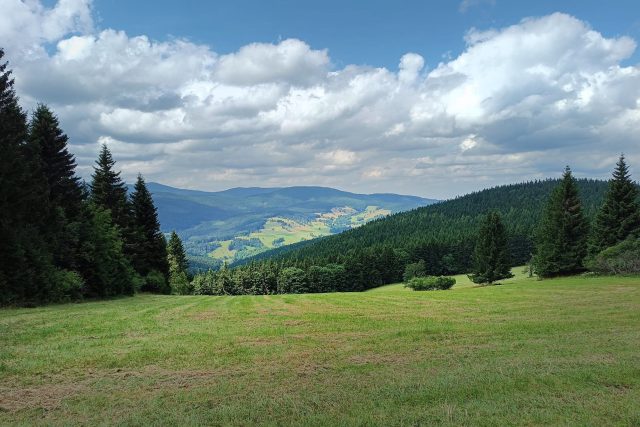 Krajina na tom opravdu není dobře,  není připravená na výzvy,  které ji čekají v budoucnosti,  říká ekolog Zelený | foto: Miroslav Hruban,  Český rozhlas