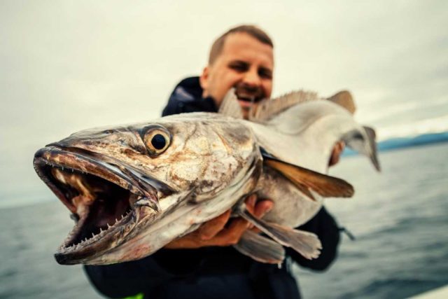 Dokument „Za rybami světových moří“,  ilustrační foto | foto: Dan Latzka Rejžka