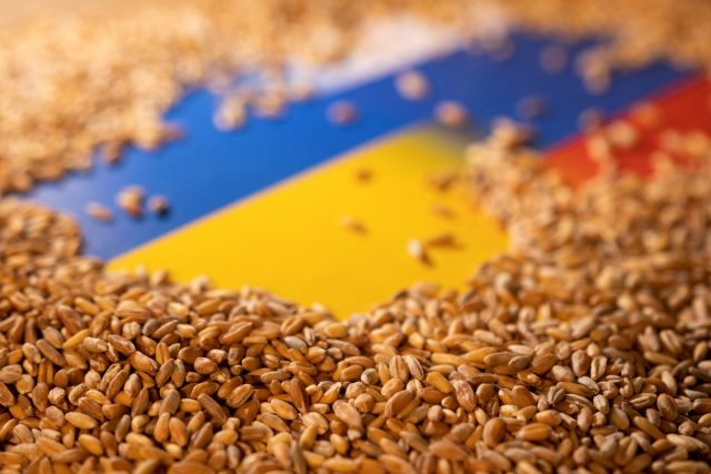 Řadě států světa hrozí kvůli výpadku ukrajinské pšenice hladomor | foto: Reuters