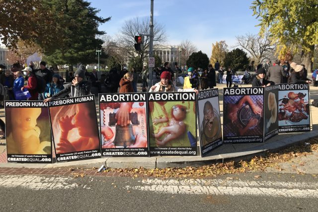 Americký nejvyšší soud jedná o zrušení práva na potrat. Zastánci i odpůrci tohoto práva se sešli před budovou Nejvyššího soudu | foto: Jan Kaliba,  Český rozhlas