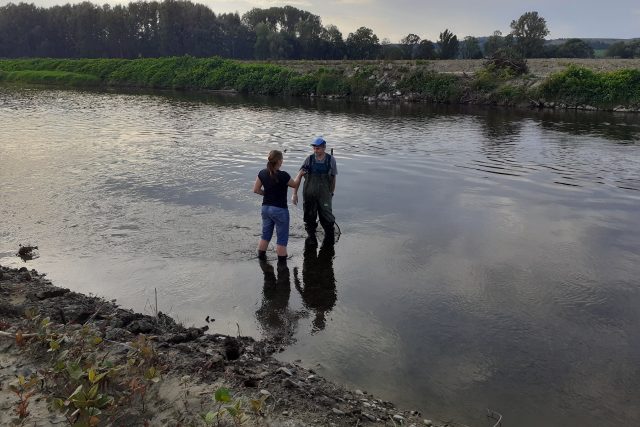 Několik desítek tun ryb uhynulých v řece Bečvě otrávily kyanidy | foto: Lenka Kratochvílová,  Český rozhlas,  Český rozhlas