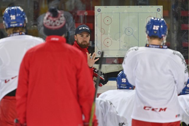 Trenér Filip Pešán na tréninku české hokejové reprezentace | foto: Michal Kamaryt,  ČTK