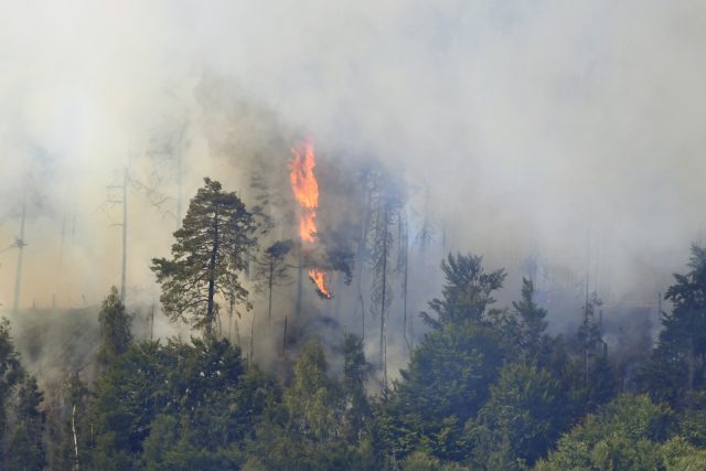 Požár lesa v Národním parku České Švýcarsko u Hřenska | foto: Ondřej Hájek,  ČTK