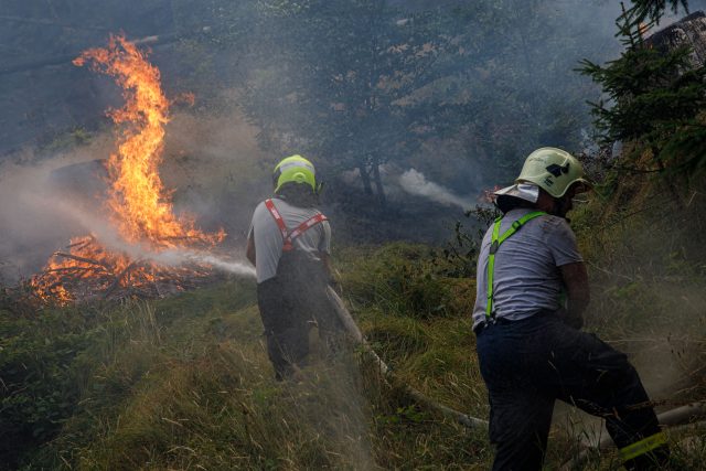 Hasiči se snaží dostat pod kontrolu požár v Hřensku | foto: Hasičský záchranný sbor ČR