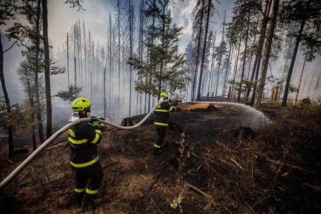 Hasiči hasí požár v Hřensku | foto: Hasičský záchranný sbor ČR