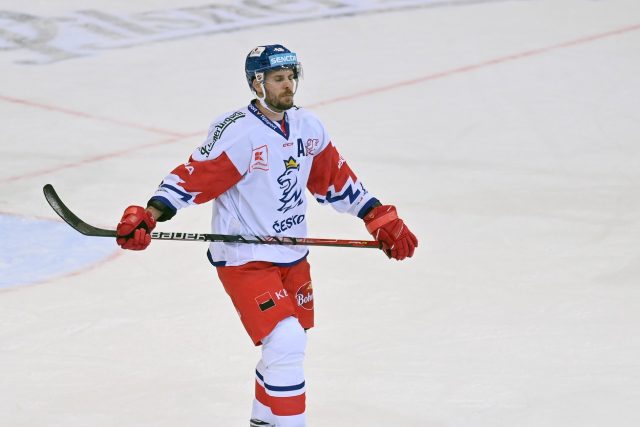 Opora české hokejové reprezentace David Krejčí | foto: Profimedia