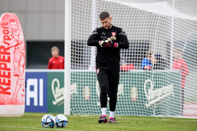 Brankář české fotbalové reprezentace Tomáš Vaclík | foto: Vlastimil Vacek,  Právo/Profimedia