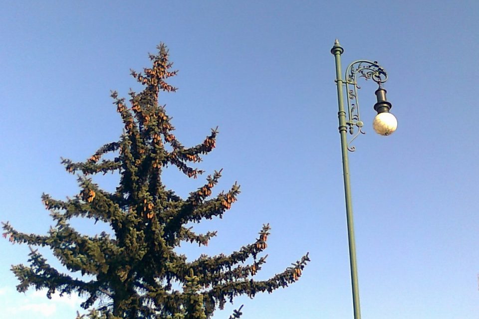 pouliční lampa,  osvětlení | foto: Eva Odstrčilová