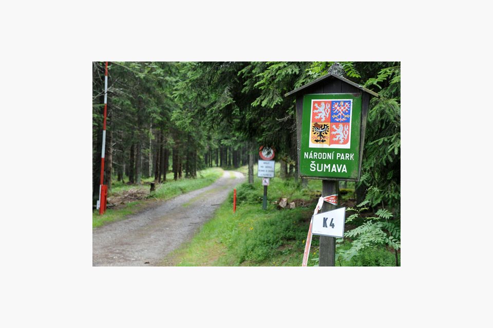 Národní park Šumava | foto: Filip Jandourek