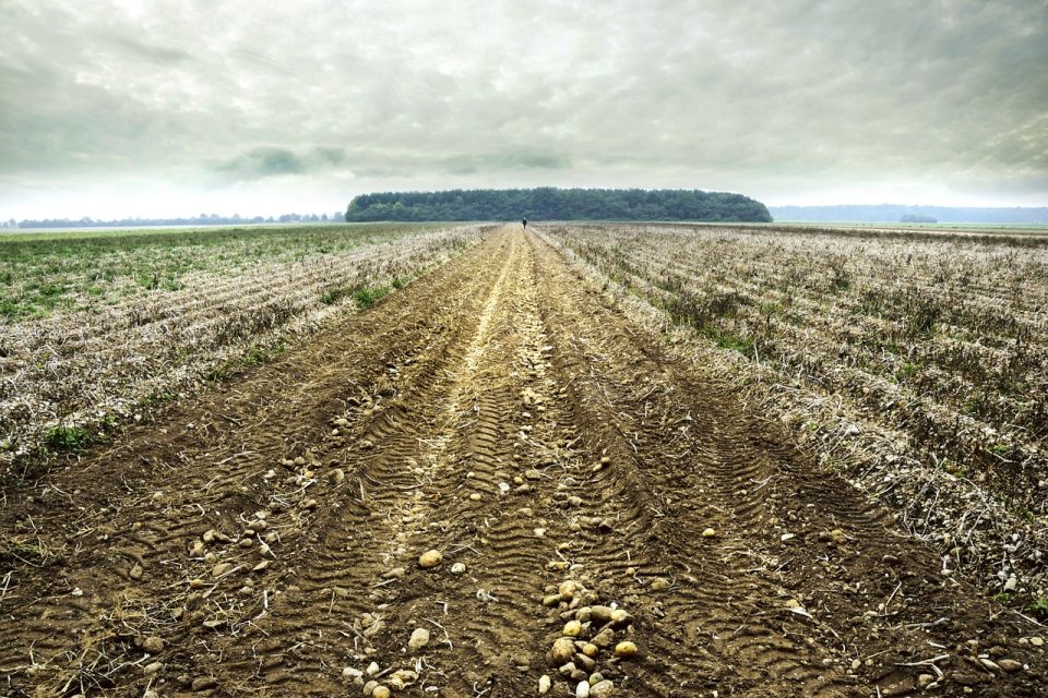 50% veškeré zemědělské půdy je ohroženo vodní erozí | foto: Fotobanka Pixabay