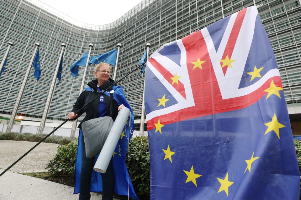 Žena mávající evropskou vlajkou před sídlem Evropské Komise | foto: Yves Herman,  Reuters