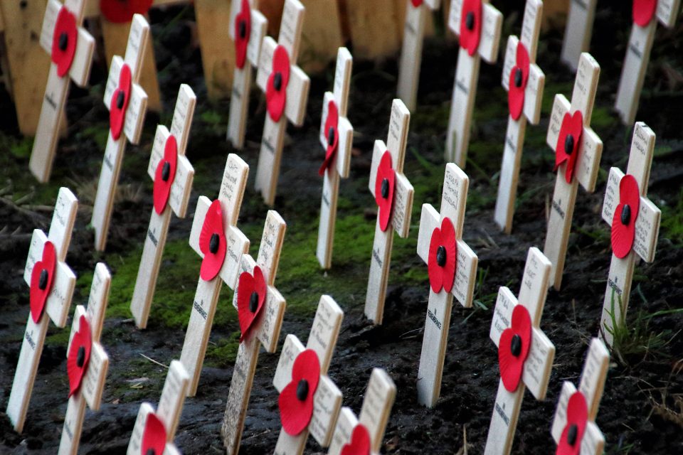 Pomníčky připomínající padlé vojáky ve Westminsterském opatství | foto: Keith Mayhew,  Reuters