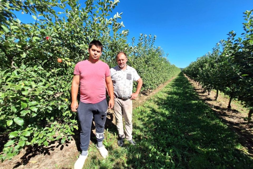 Lukáš a Pavel Holubovi ve svém sadu v Krtelích na Prachaticku | foto: Kristýna Barchini,  Český rozhlas