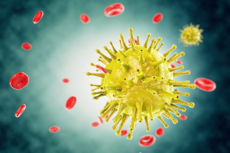 Animace viru SARS-CoV-2 | foto: Profimedia